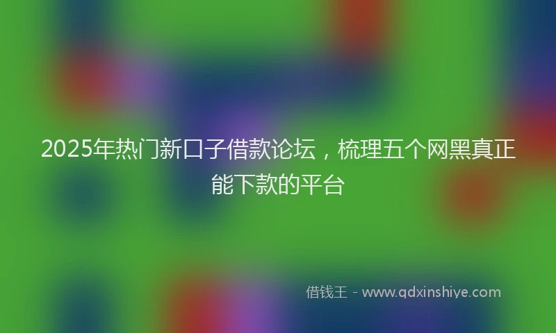 2025年热门新口子借款论坛，梳理五个网黑真正能下款的平台