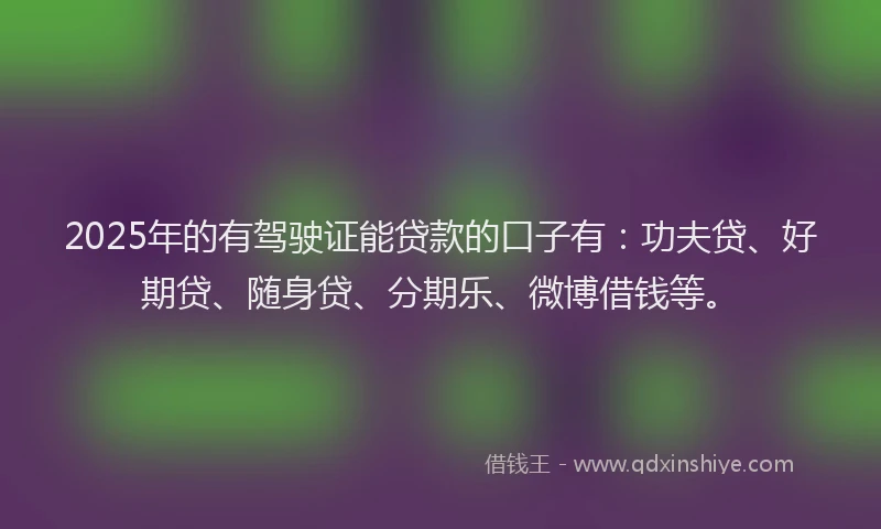 2025年的有驾驶证能贷款的口子有：功夫贷、好期贷、随身贷、分期乐、微博借钱等。