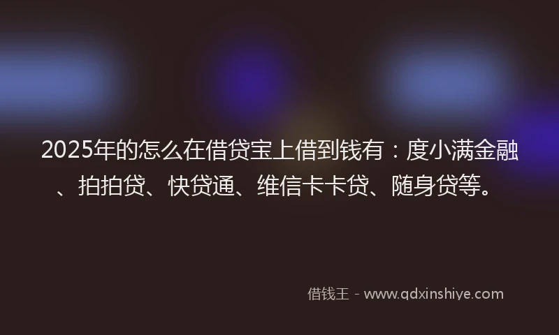 2025年的怎么在借贷宝上借到钱有：度小满金融、拍拍贷、快贷通、维信卡卡贷、随身贷等。