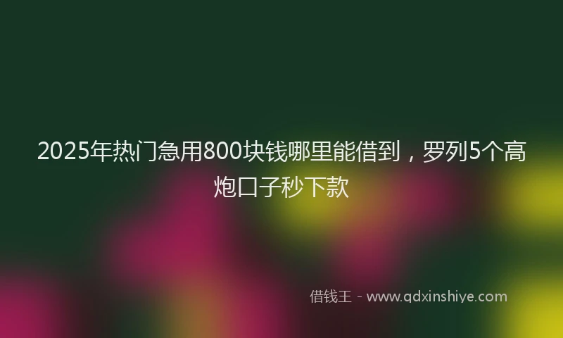2025年热门急用800块钱哪里能借到，罗列5个高炮口子秒下款