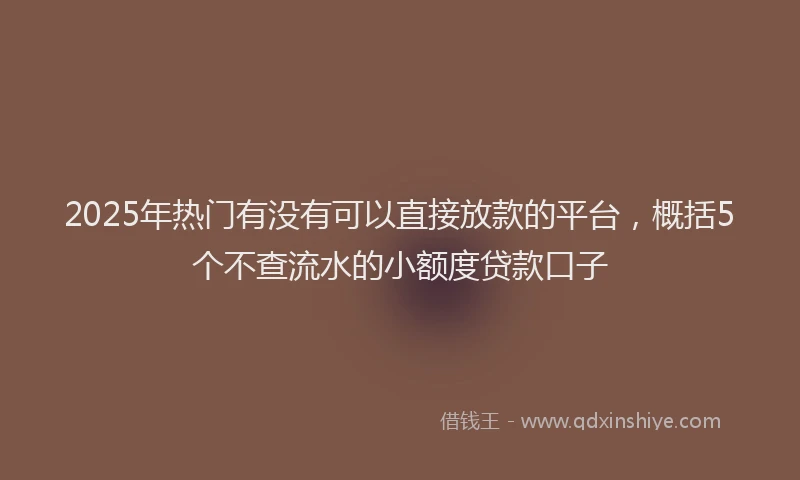 2025年热门有没有可以直接放款的平台，概括5个不查流水的小额度贷款口子