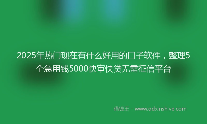 2025年热门现在有什么好用的口子软件，整理5个急用钱5000快审快贷无需征信平台