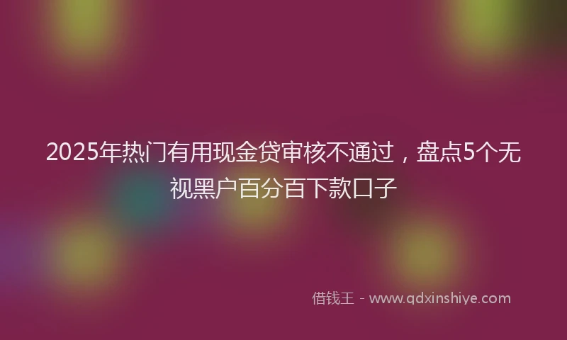 2025年热门有用现金贷审核不通过，盘点5个无视黑户百分百下款口子