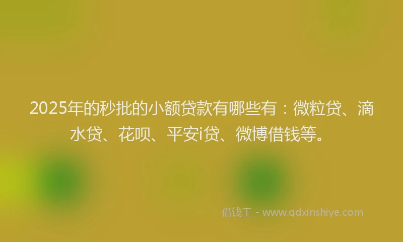 2025年的秒批的小额贷款有哪些有：微粒贷、滴水贷、花呗、平安i贷、微博借钱等。
