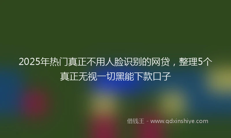 2025年热门真正不用人脸识别的网贷，整理5个真正无视一切黑能下款口子