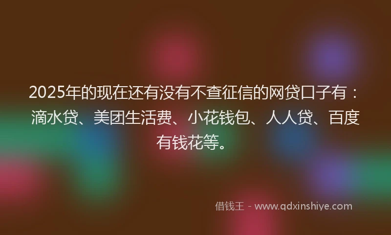 2025年的现在还有没有不查征信的网贷口子有：滴水贷、美团生活费、小花钱包、人人贷、百度有钱花等。