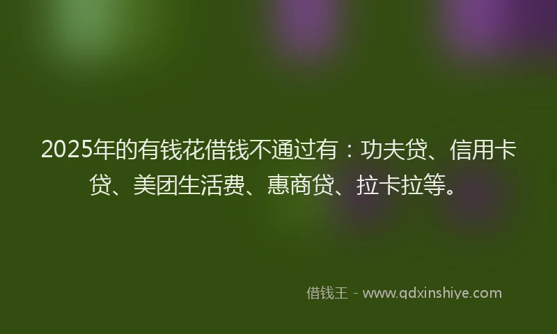 2025年的有钱花借钱不通过有：功夫贷、信用卡贷、美团生活费、惠商贷、拉卡拉等。