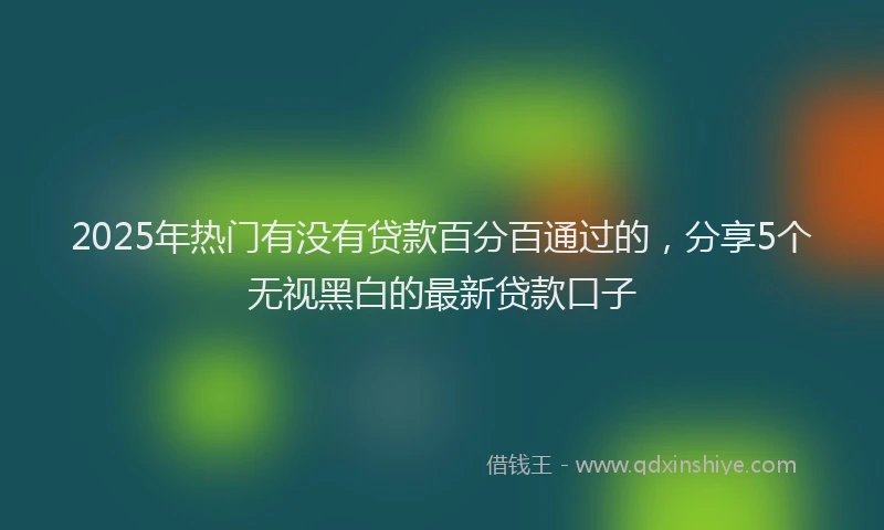 2025年热门有没有贷款百分百通过的，分享5个无视黑白的最新贷款口子