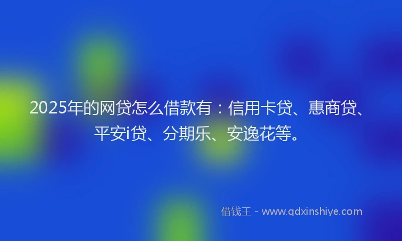 2025年的网贷怎么借款有：信用卡贷、惠商贷、平安i贷、分期乐、安逸花等。
