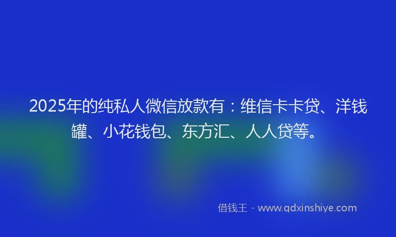 2025年的纯私人微信放款有：维信卡卡贷、洋钱罐、小花钱包、东方汇、人人贷等。