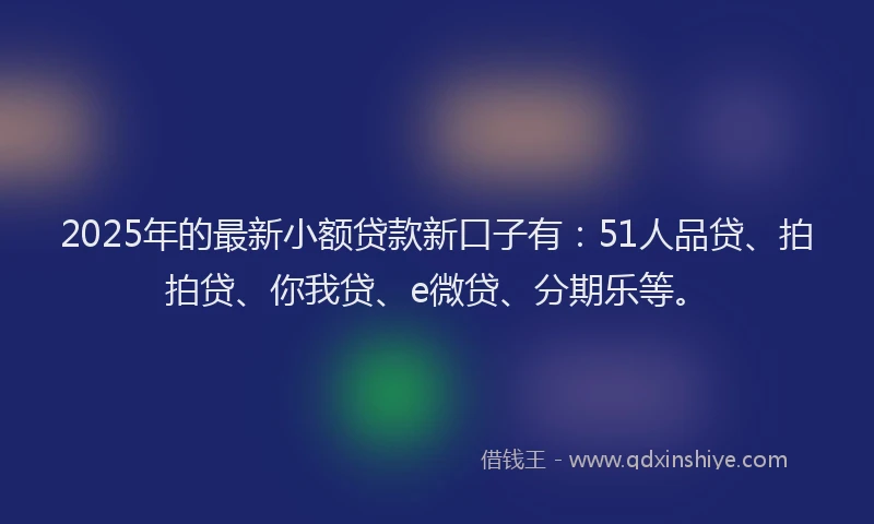 2025年的最新小额贷款新口子有：51人品贷、拍拍贷、你我贷、e微贷、分期乐等。