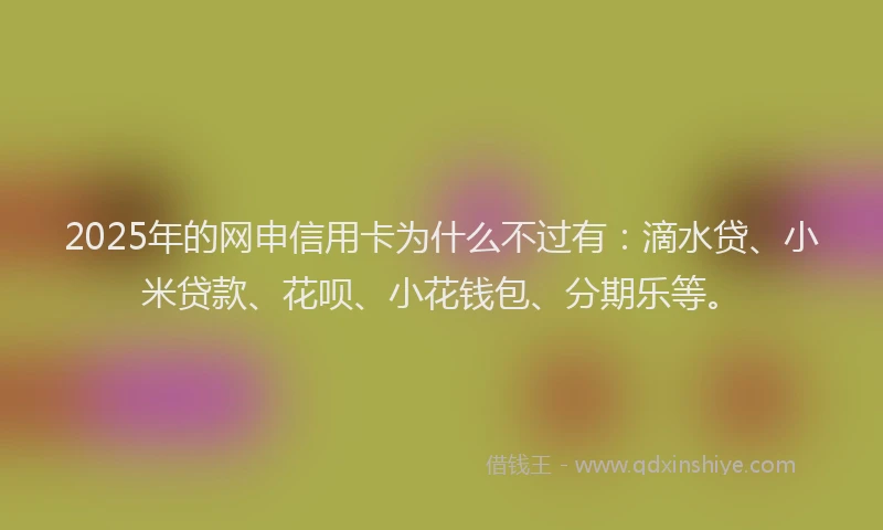2025年的网申信用卡为什么不过有：滴水贷、小米贷款、花呗、小花钱包、分期乐等。