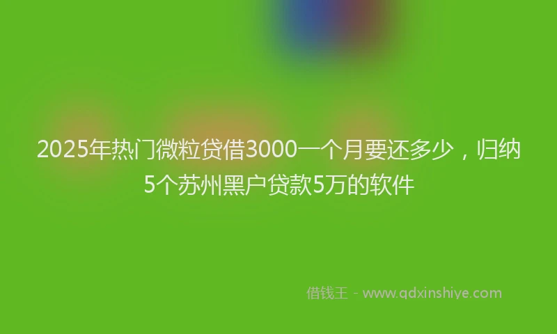 2025年热门微粒贷借3000一个月要还多少，归纳5个苏州黑户贷款5万的软件