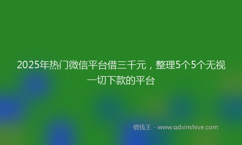 2025年热门微信平台借三千元，整理5个5个无视一切下款的平台