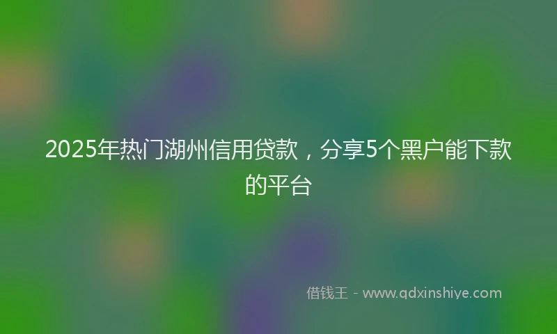 2025年热门湖州信用贷款，分享5个黑户能下款的平台