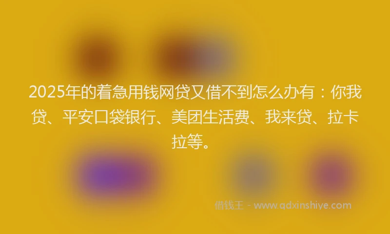 2025年的着急用钱网贷又借不到怎么办有：你我贷、平安口袋银行、美团生活费、我来贷、拉卡拉等。