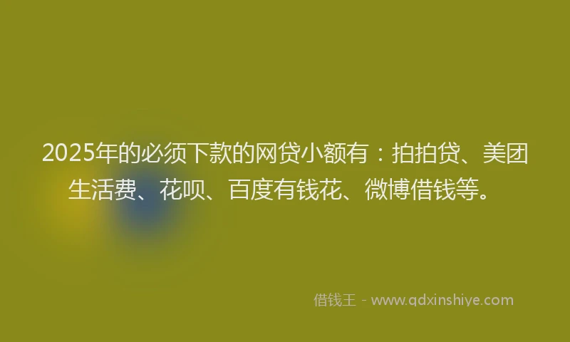 2025年的必须下款的网贷小额有：拍拍贷、美团生活费、花呗、百度有钱花、微博借钱等。