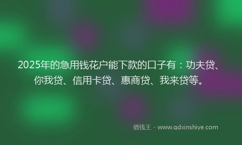 2025年的急用钱花户能下款的口子有：功夫贷、你我贷、信用卡贷、惠商贷、我来贷等。