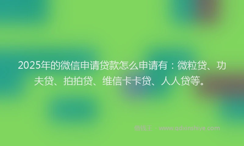 2025年的微信申请贷款怎么申请有：微粒贷、功夫贷、拍拍贷、维信卡卡贷、人人贷等。