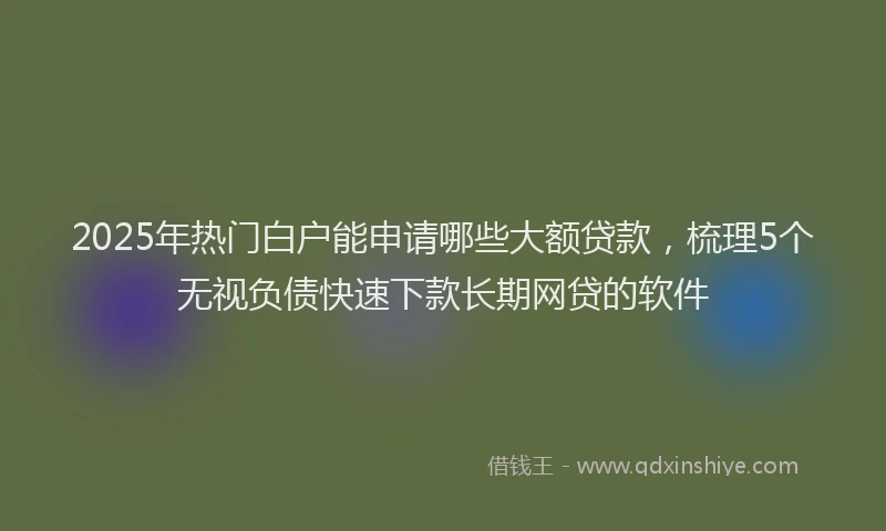 2025年热门白户能申请哪些大额贷款，梳理5个无视负债快速下款长期网贷的软件