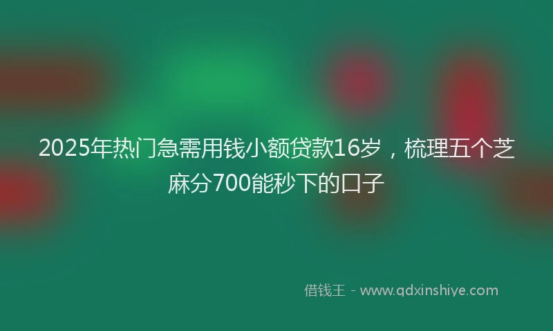 2025年热门急需用钱小额贷款16岁，梳理五个芝麻分700能秒下的口子