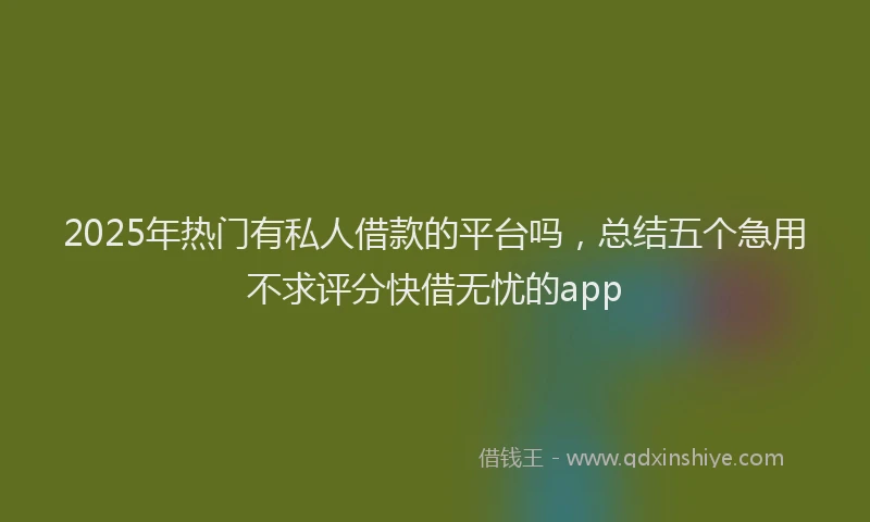 2025年热门有私人借款的平台吗，总结五个急用不求评分快借无忧的app