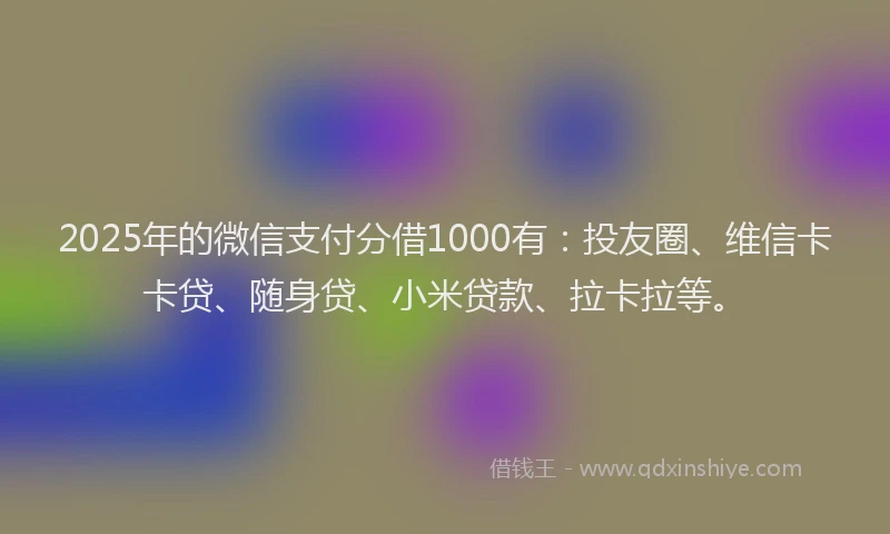 2025年的微信支付分借1000有：投友圈、维信卡卡贷、随身贷、小米贷款、拉卡拉等。
