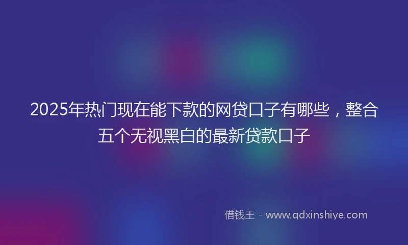 2025年热门现在能下款的网贷口子有哪些，整合五个无视黑白的最新贷款口子