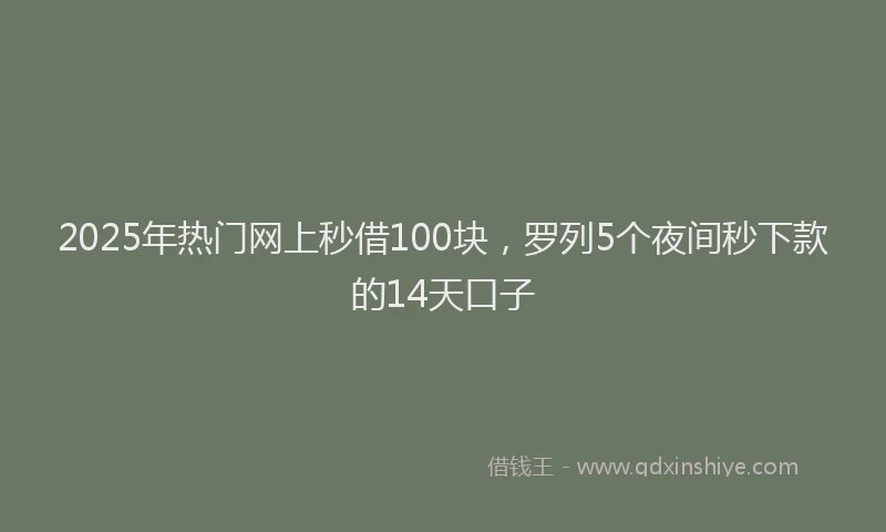 2025年热门网上秒借100块，罗列5个夜间秒下款的14天口子