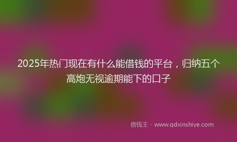 2025年热门现在有什么能借钱的平台，归纳五个高炮无视逾期能下的口子