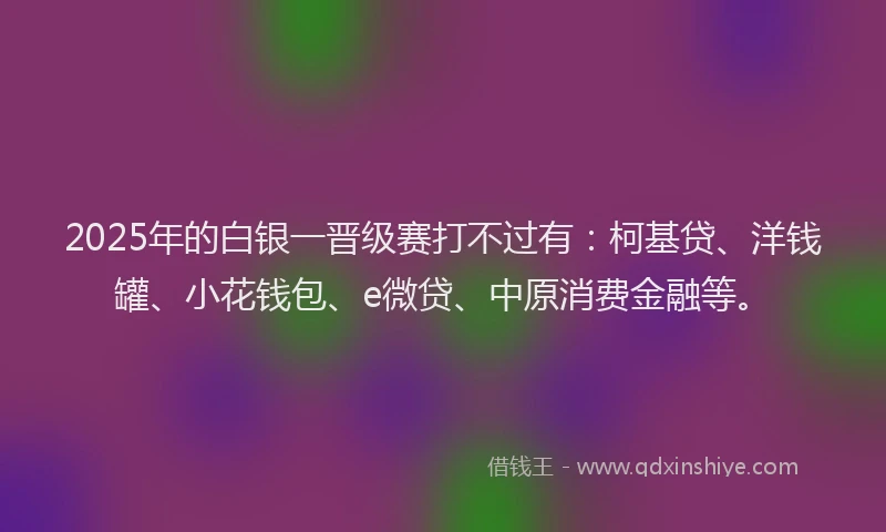 2025年的白银一晋级赛打不过有：柯基贷、洋钱罐、小花钱包、e微贷、中原消费金融等。
