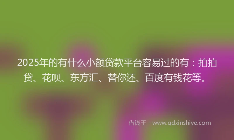 2025年的有什么小额贷款平台容易过的有：拍拍贷、花呗、东方汇、替你还、百度有钱花等。