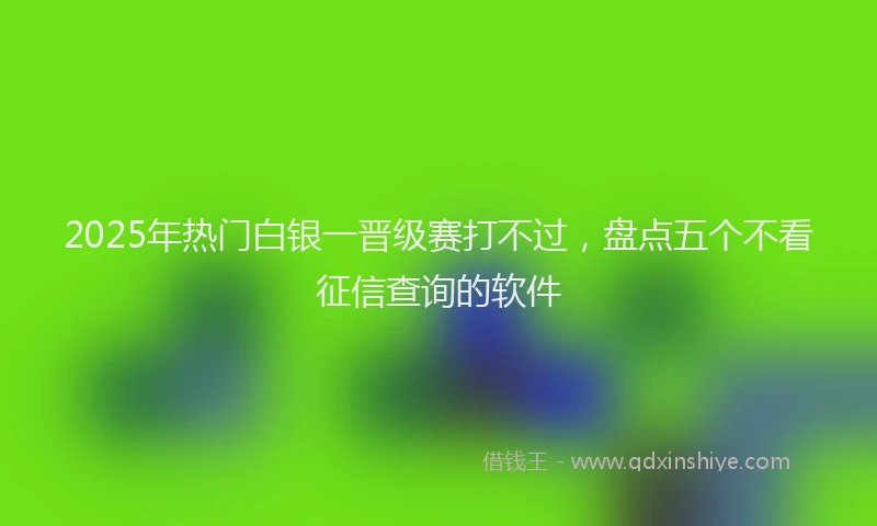 2025年热门白银一晋级赛打不过，盘点五个不看征信查询的软件
