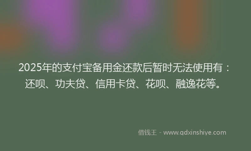 2025年的支付宝备用金还款后暂时无法使用有：还呗、功夫贷、信用卡贷、花呗、融逸花等。