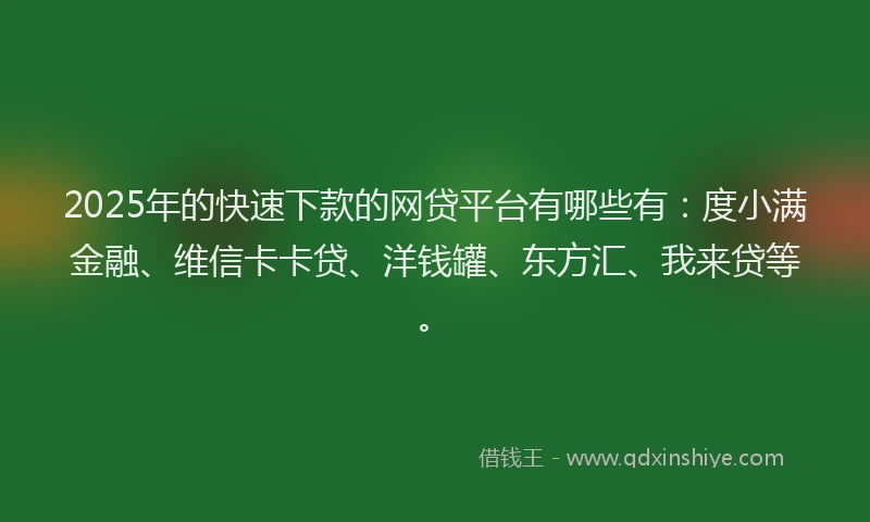 2025年的快速下款的网贷平台有哪些有：度小满金融、维信卡卡贷、洋钱罐、东方汇、我来贷等。