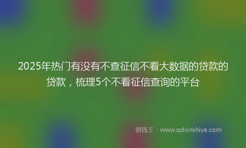 2025年热门有没有不查征信不看大数据的贷款的贷款，梳理5个不看征信查询的平台