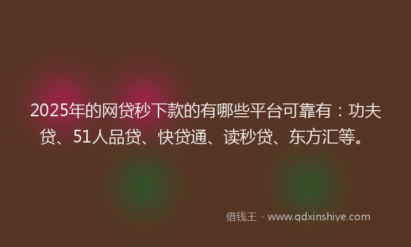 2025年的网贷秒下款的有哪些平台可靠有：功夫贷、51人品贷、快贷通、读秒贷、东方汇等。