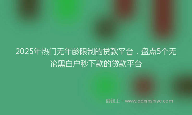 2025年热门无年龄限制的贷款平台，盘点5个无论黑白户秒下款的贷款平台