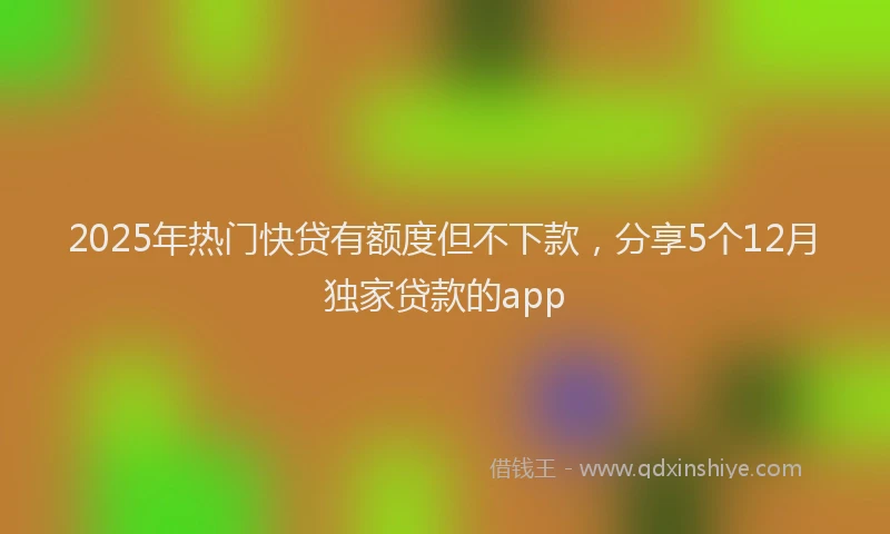2025年热门快贷有额度但不下款，分享5个12月独家贷款的app
