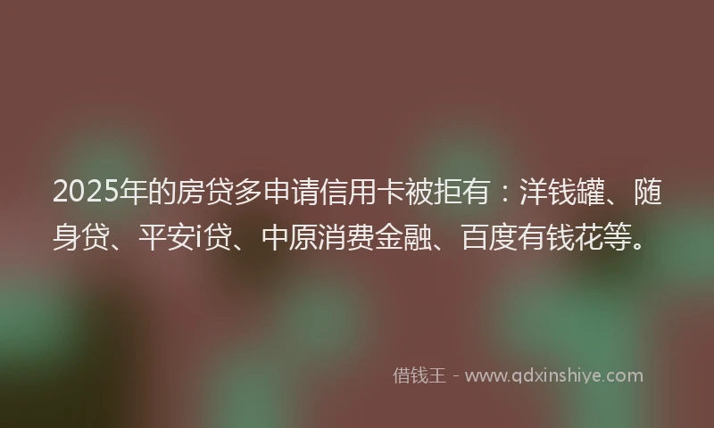2025年的房贷多申请信用卡被拒有：洋钱罐、随身贷、平安i贷、中原消费金融、百度有钱花等。