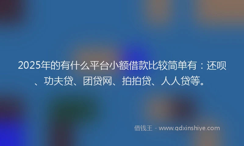 2025年的有什么平台小额借款比较简单有：还呗、功夫贷、团贷网、拍拍贷、人人贷等。