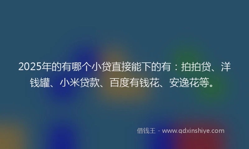 2025年的有哪个小贷直接能下的有：拍拍贷、洋钱罐、小米贷款、百度有钱花、安逸花等。