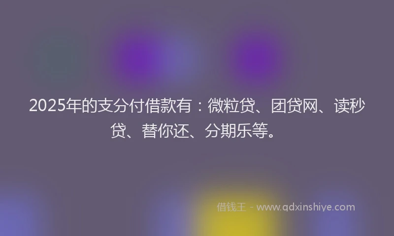 2025年的支分付借款有：微粒贷、团贷网、读秒贷、替你还、分期乐等。