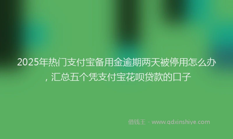 2025年热门支付宝备用金逾期两天被停用怎么办，汇总五个凭支付宝花呗贷款的口子