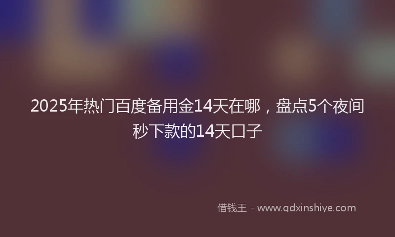2025年热门百度备用金14天在哪，盘点5个夜间秒下款的14天口子