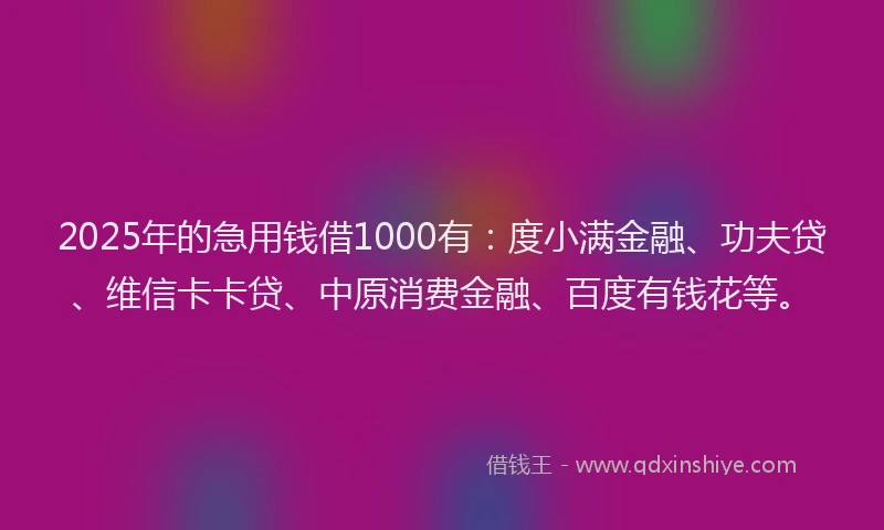 2025年的急用钱借1000有：度小满金融、功夫贷、维信卡卡贷、中原消费金融、百度有钱花等。