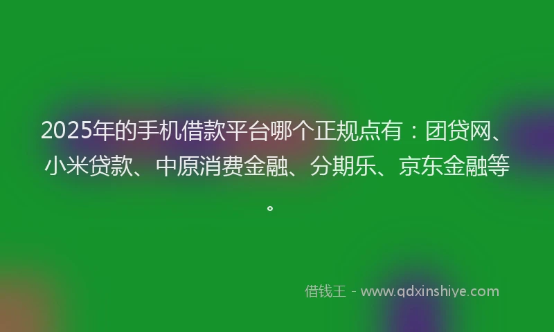 2025年的手机借款平台哪个正规点有：团贷网、小米贷款、中原消费金融、分期乐、京东金融等。