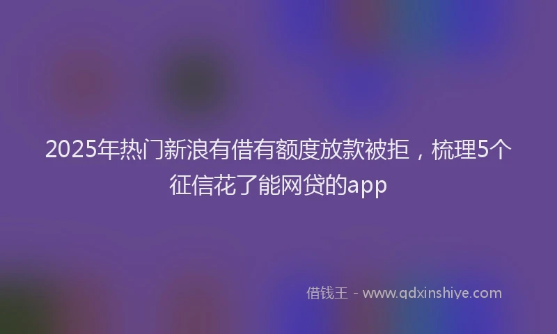 2025年热门新浪有借有额度放款被拒，梳理5个征信花了能网贷的app