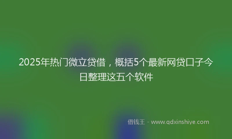 2025年热门微立贷借，概括5个最新网贷口子今日整理这五个软件