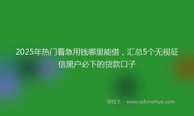 2025年热门着急用钱哪里能借，汇总5个无视征信黑户必下的贷款口子